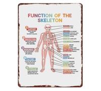 PIUHRKLEVD Function of Skeleton Metal Sign Human Anatomy Learning Wall Decor for Science Classroom Clinic Office Aluminum 8 X 12 in