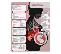 PIUHRKLEVD OB ICU Reference Poster Critically Ill Obstetric Patient Assessment and Intervention Chart for Staff(Framed,12x18inch(30x45cm))