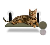 PiuPet® Floating cat window lounger - Foldable & space-saving cat lounger with suction cups I Reversible hammock for windows I Cat window bed up to 20 kg for sunbathing area & panoramic view (Green)