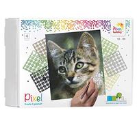 Pixel P090034 gift box cat, picture approx. 20.3 x 25.4 cm, easy plug-in system, no ironing or gluing, stones made of bioplastic, ideal for children