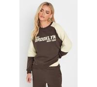 Pixiegirl Petite Brooklyn Slogan Sweatshirt In Brown Brown 16