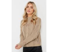 Pixiegirl Petite Cable Knit Jumper In Medium Beige Medium Beige 10-12