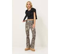 PixieGirl Women's Petite Leopard Leggings in Brown | Size: 12 PixieGirl Brown 12