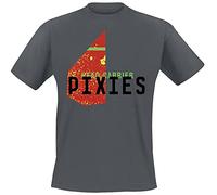 Pixies Head Carrier Men T-Shirt Grey M, 100% Cotton, Regular
