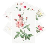 PIXILUV Vintage Postcards (24 pcs 4"x6" each) Antique Rose Botanical Prints - Elegant Antique Flower Varieties of Garden Roses from Classic Botanical Illustrations