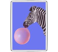 Pixly® Zebra Chewing Gum Fridge Magnet Large Jumbo Size Funny Joke Keepsake Novelty Refrigerator Magnets Gift