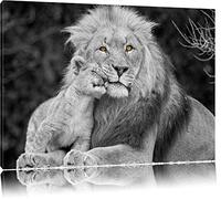 Pixxprint Beautiful Lion with cub black/white on canvas, hugePictures completely framed with stretcher, Art print on wall picture with frame size: 80x60 cm