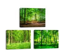 Piy Painting 3 pieces Canvas Wall Art Decor, Green Jungle Printing on Canvas, Forest Tree Reproduction Canvas Print Artwork Gift, Framed Ready to Hang Home Decoration for Bathroom Bedroom 16x12inch