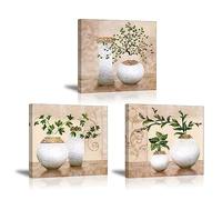 Piy Painting 3Pcs Elegant Green Plants in Vase Bottles Picture Painting Canvas Wall Art Waterproof Bracket Mounted in Real Wood Paintings Nice Gift for your Home Décor 12x12inch
