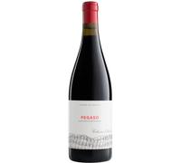 Pizarra 2022 - Pegaso - Telmo Rodríguez