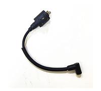 Pizgear Boat Motor Ignition Coil, for HIDEA, 2- Stroke 2. 5HP 2. 5F T2. 5 Outboard Engine 2.5F-01.03.01.00 Marine Ignition Switch