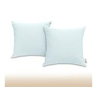 Pizuna 400-Thread-Count-Cotton-Cushion-Cover 45x45 Light Blue, 100% Long Staple Cotton Soft Sateen Light Blue Cushion Covers Set Of 2 for Couch, Sofa Living Room & Bedroom (100% Cotton Cushion Cover)