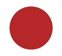 Pizza Spinning Dough, 30 cm Training Silicone Pizza, Dough with Silicone Disc Spinning, Silicone Dough for Turning Pizza Moulds, Pizza Stretching Dough, Pizza Training Dough for Cook, Beginners,