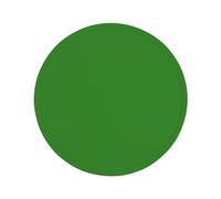 Pizza Spinning Dough, 30 cm Training Silicone Pizza, Dough with Silicone Disc Spinning, Silicone Dough for Turning Pizza Moulds, Pizza Stretching Dough, Pizza Training Dough for Cook, Beginners,