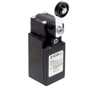 Pizzato Elettrica Limit Switch 250V AC 6A Pivot Lever IP67