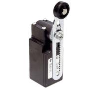 Pizzato Elettrica Limit Switch 250V 6A Pivot Lever IP67 FR 556-M2