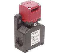 Pizzato Elettrica FW 3392-M2 Safety switch 250 V/AC 6 A separate actuator with return IP67 1 pc(s)