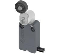 NF B112KG-DN2 limit switch NO + NC 10A max. 250VAC max. 250VDC lines 2 m PIZZATO