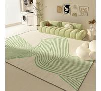 PIZZZENO Modern Luxury Carpets for Living Room Bedroom Decor Plush Fluffy Soft Lounge Rug Home Thickened Washable Floor Mat(100x160cm/D)