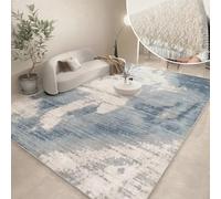 PIZZZENO Thickened Study Modern Abstract Carpets for Living Room Home Washable Plush Floor Mat Minimalist Bedroom Decor Art Rug(80x160cm/G)