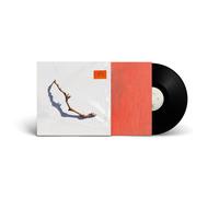 PJ Harvey - I Inside the Old Year Dying [VINYL]