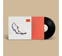 PJ Harvey - I Inside the Old Year Dying [VINYL]