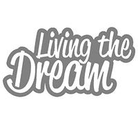 PJ4U 8.5 x 20.5 CM Approx Funny Car Sticker Living The Dream Vinyl Car Sticker Decal Silver