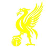 PJ4U 9.5 x 7.5 CM Approx Liverbird Bumper Sticker Vinyl Car Sticker Decal Yellow