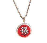 PJ4U English Pendragon Anglo Saxon Silver Colour Necklace With Pendant And Gift Box