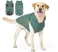 PJDDP Dog Winter Coat Waterproof, Reflective Dog Vest for Walking at Night, Warm Winter Dogs Coat Jacket with Leash Hole for French Bulldog, German Shepherd, Golden Retriever,Green,M