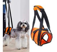PJDDP Pet Dog Support Harness Rear Lifting Harness Dog Sling, Veterinarian Approved To Helps Dogs with Arthritis, Weakness, Joint Injuries Rehab, Loss of Stability Dogs Walk,Orange,S