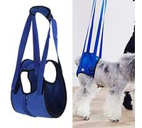 PJDDP Pet Dog Support Harness Rear Lifting Harness Dog Sling, Veterinarian Approved To Helps Dogs with Arthritis, Weakness, Joint Injuries Rehab, Loss of Stability Dogs Walk,Blue,M