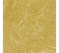 PJEV / Kit Downes / Hayden Chisholm - Medna Roso [VINYL]