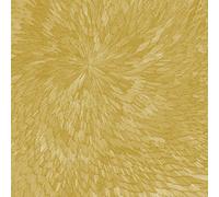 PJEV / Kit Downes / Hayden Chisholm - Medna Roso [VINYL]