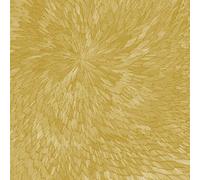 PJEV / Kit Downes / Hayden Chisholm - Medna Roso [VINYL]