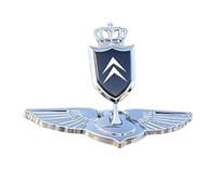 PjjxQf Car 3D Emblems for Citroen C5 Aircross 2017-2022-Modelle,Trunk Badge Front Grille Tailgate Emblem Hood Trunk Badgear Front Bonnet Logo Styling Sign Body,C-normal
