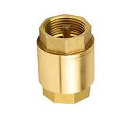 PJVPEJOD Needle Valve G 1/2 3/4 1 1-1/4 2 Inch DN15 DN20 DN25 DN32 DN50 Brass Thread in-Line Spring Vertical Lift Check Valve 200WOG(DN50)