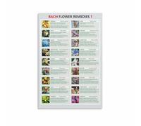 PKNVKZIDK Alternative Medicine Guide Flower Essences and Remedies Chart Properties Reference for Holistic Health Decor Framed,12x18inch(30x45cm)