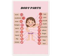 PKNVKZIDK Bliss Monkey Co. Educational Poster, Girls Body Parts Anatomy Chart, Visual Biology Learning Tool for School and Home Unframed,16x24inch(40x60cm)