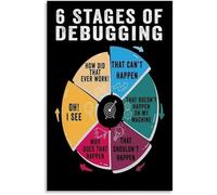 PKNVKZIDK Educational Debugging Process Poster 6 Stages of Debugging Wall-Art Chart for Programmers Coding Classroom Tech Office Decor Framed,12x18inch(30x45cm)
