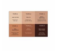 PKNVKZIDK Fitzpatrick Scale Chart, Professional Skin Type Reference for Estheticians, Clinic or Spa Wall Art (Unframed,08x12inch(20x30cm))