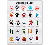 PKNVKZIDK Large Woodland Tracks Canvas Print, Framed Animal Footprints Wall-Art, Ready to Hang Nature for Living Room or Lodge Decor Unframed,16x24inch(40x60cm)