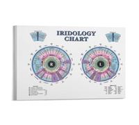 PKNVKZIDK Macro Iris Photography Art - Close-Up Human Eye Canvas Print, Unique Nature-Inspired Wall Decor for Bedroom, Bathroom & Contemporary Spaces Framed,08x12inch(20x30cm)