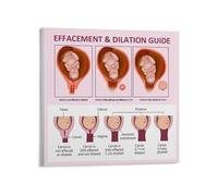 PKNVKZIDK Maternal Health Guide Educational Wall-Art Chart on Childbirth Canvas Print for Nursing Student Gift Unframed,12x18inch(30x45cm)