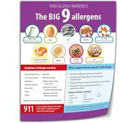 PKNVKZIDK Nutrition Basics Poster Food Groups Chart Major Types Of Foods For Health Class Study Kitchen Home Economics Decor Framed,12x18inch(30x45cm)