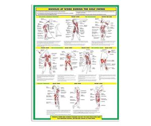 PKNVKZIDK Sports Science Poster: Kinetic Chain in the Golf Swing - A Visual Guide to Muscle Engagement & Body Mechanics | Educational Wall Art for Gym or Studio(Framed,16x24inch(40x60cm))