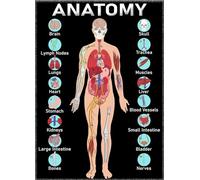 PKNVKZIDK The Human Body Systems Poster, Comprehensive Anatomy Reference Chart, Large Science Wall Art for Teachers, Students & Clinics Unframed,08x12inch(20x30cm)