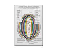 PKNVKZIDK The Integrated Body Canvas: Anatomy, Chakras & Aura Fields. A Comprehensive Educational Chart for Energy Work, Holistic Therapy, Yoga Practice & Study Framed,16x24inch(40x60cm)