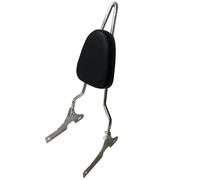 PKPGHEEVNL Motorcycle One-piece Detachables Passenger Backrest Sissy Bar Pad For Sportster XL 883 1200 48 72