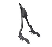 PKPGHEEVNL Motorcycle Rear Sissy Bar Passenger Backrest For D&avid&son Softail Fat Bob 114 FXFBS 2018-2023